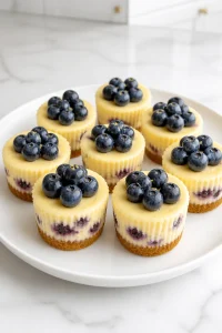 Mini Lemon Blueberry Cheesecake Recipes